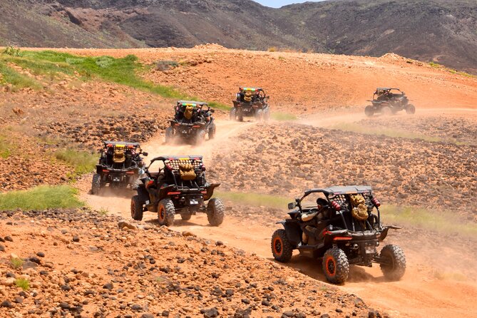 2h SSV Buggy Desert Adventure - 1000cc or 500cc - Murdeira Bay and Lion Mountain views