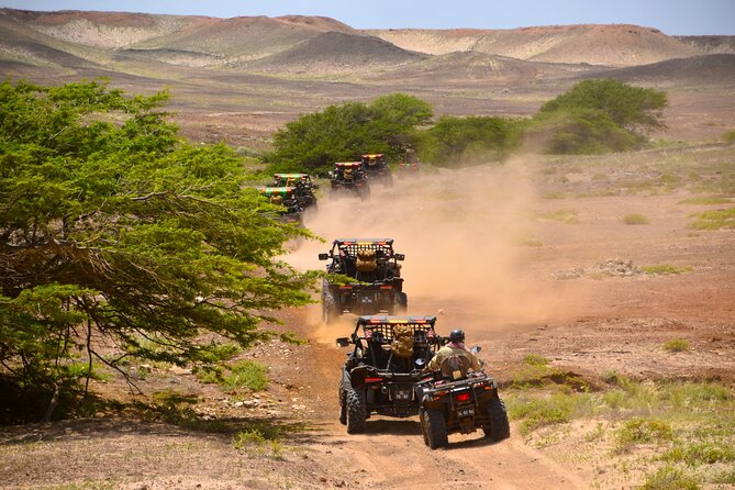 4h SSV Buggy Island Adventure - 1000cc or 500cc - Regona, not Buracona, is the water stop