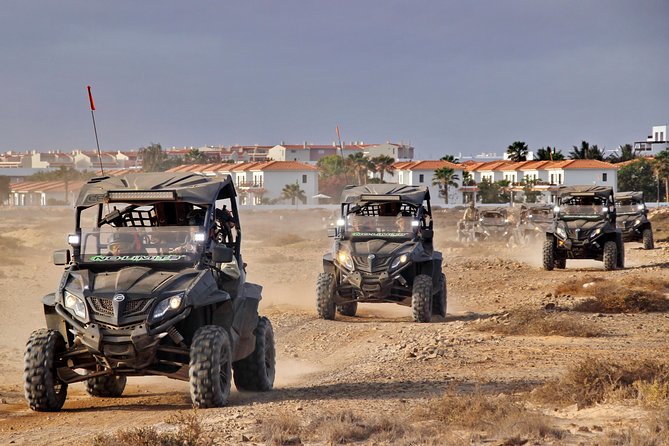 4h SSV Buggy Island Adventure - 1000cc or 500cc - Terra Boa and Sal’s desert mirage