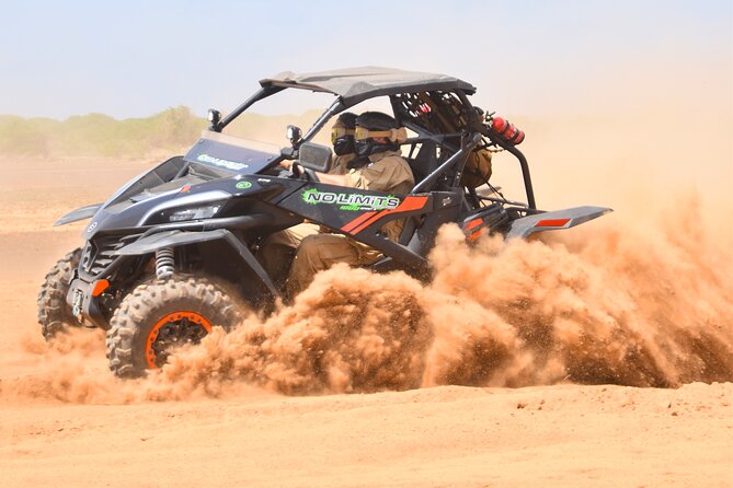 4h SSV Buggy Island Adventure - 1000cc or 500cc - Shark Bay is the tour’s most unusual encounter