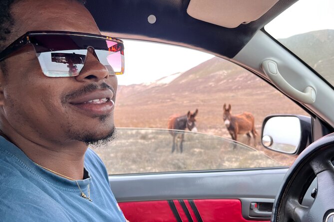 4WD Boa Vista group day tour south and north with sandboarding - A proper lunch break by the beach