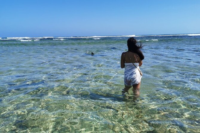 All inclusive full-Day Tour in Sal Island (Lunch and all fees included) - Terra Boa turns a desert view into a natural trick