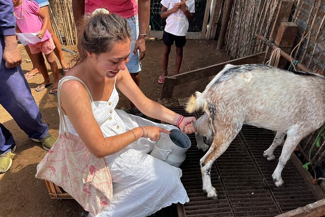 ALL-INCLUSSIVE Cabrer Journey-Live a day like a Cabrer-BoaVista - Learning the work behind rural Boa Vista