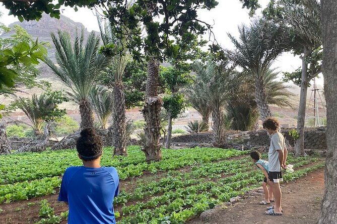 Beaches, Villages and Monte Verde, São Vicente Excludes City - Calhau: lunch beside farms and old windmills