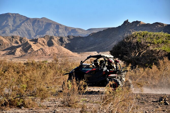Boa Vista 2h Buggy Death Valley Adventure 1000cc - Key points before you book