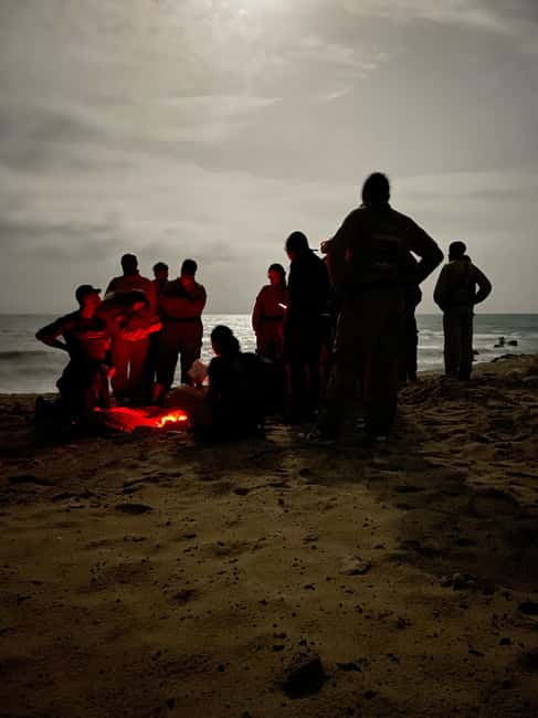 Boa Vista: 3h Turtle Watching Expedition - Why Pesqueiro Grande matters after sunset