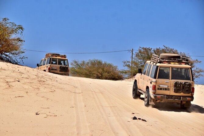 Boa Vista: 4h North Jeep Expedition Off-Road - The guide can shape the experience