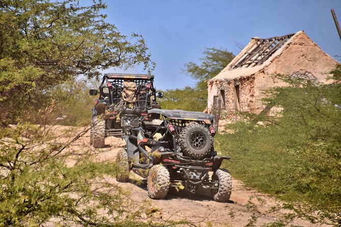 Boa Vista 4h South Buggy Adventure 1000cc - Why this south-coast route works so well