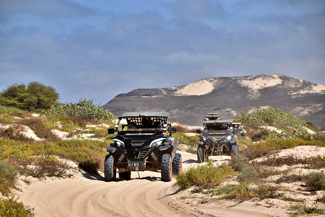Boa Vista 4h South Buggy Adventure 1000cc - Is the $289.62 price good value?