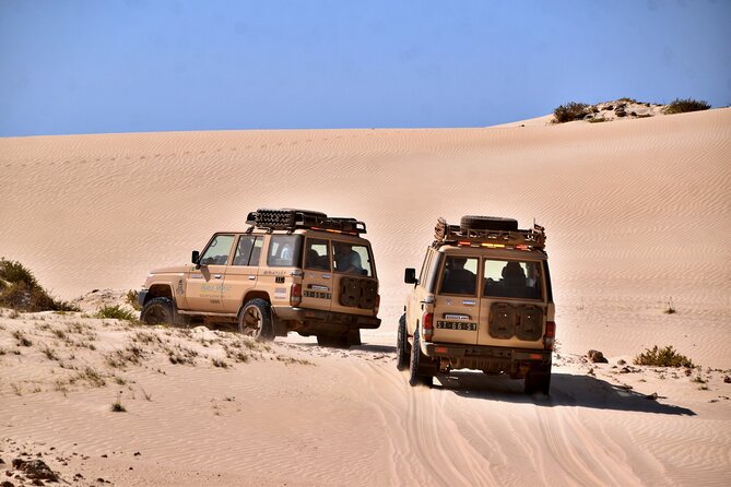 Boa Vista: 4h South Jeep Expedition Off-Road - Morro de Areia and the open southern coast