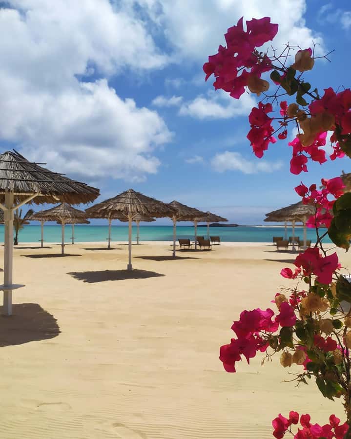 Boa Vista: Beautiful Beaches, Turtles & Djeu Island Snorkel - Snorkeling among fish, coral, and old stonework