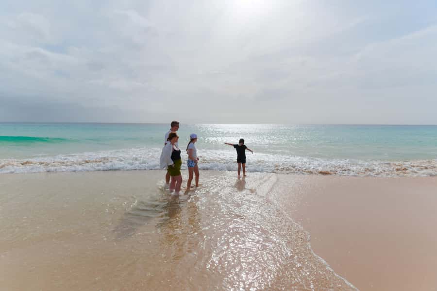 Boa Vista: Beautiful Beaches, Turtles & Djeu Island Snorkel - Shark Bay: a real sighting, not a promise