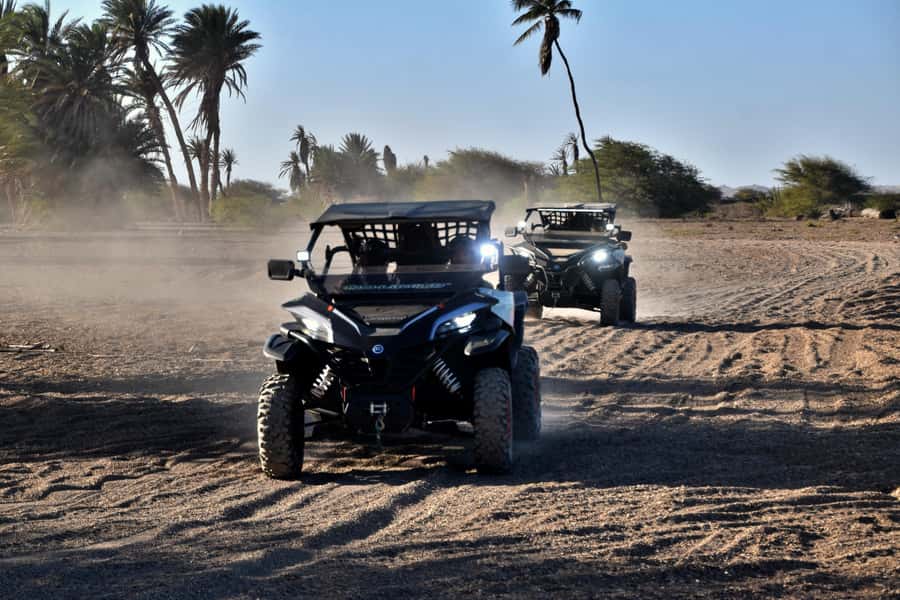 Boa Vista Buggy Tour: Death Valley Adventure (2-Hour) - Who will enjoy this most