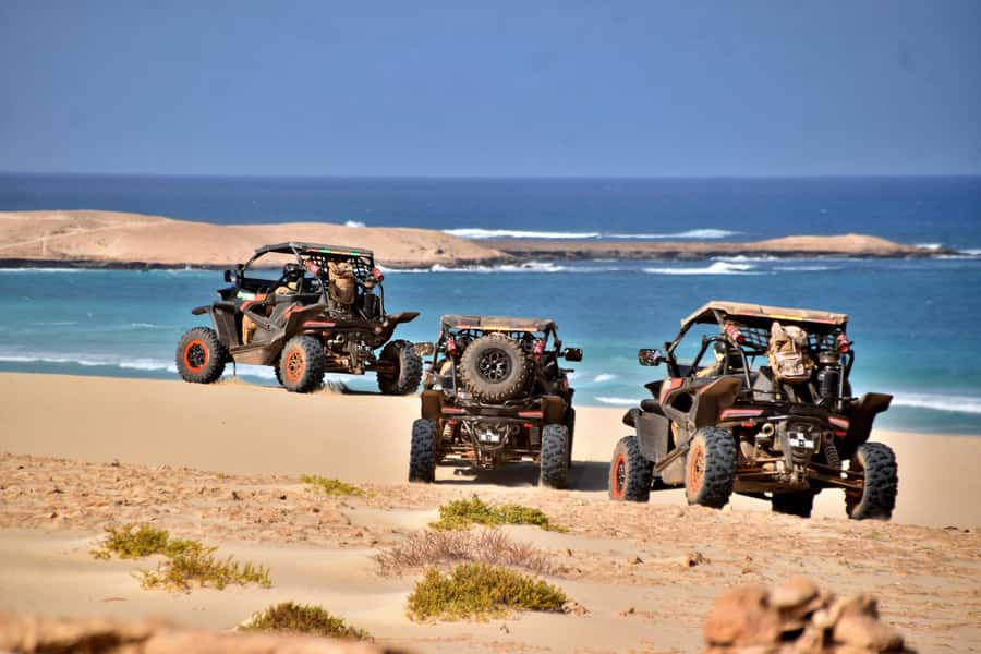 Boa Vista Buggy Tour: Santa Monica & South Desert (4-Hour) - Santa Monica Beach, Boa Vista’s longest shore