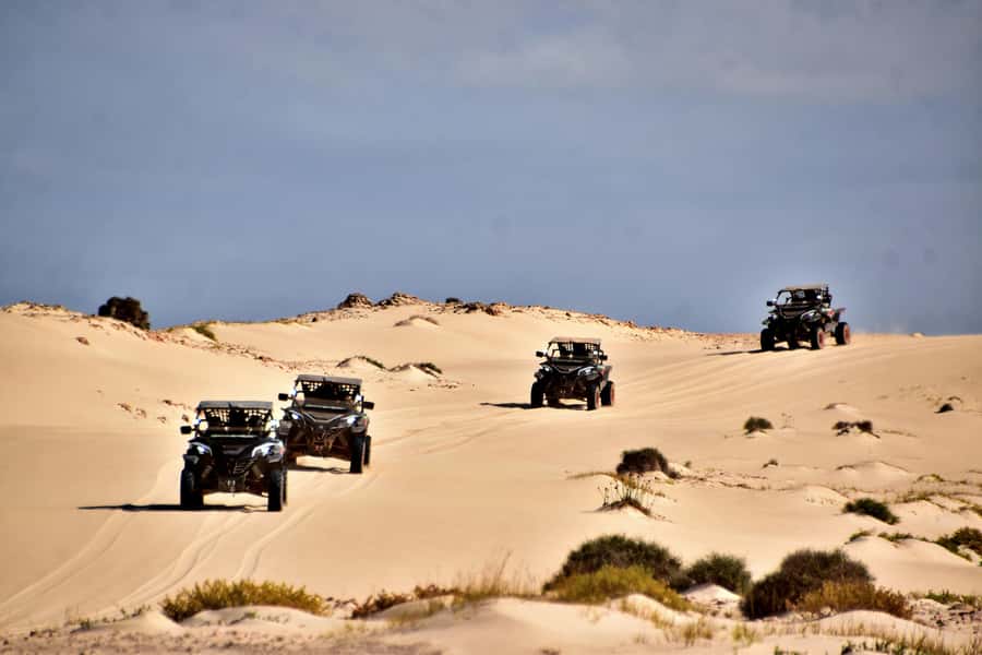 Boa Vista Buggy Tour: Santa Monica & South Desert (4-Hour) - What the buggy ride feels like
