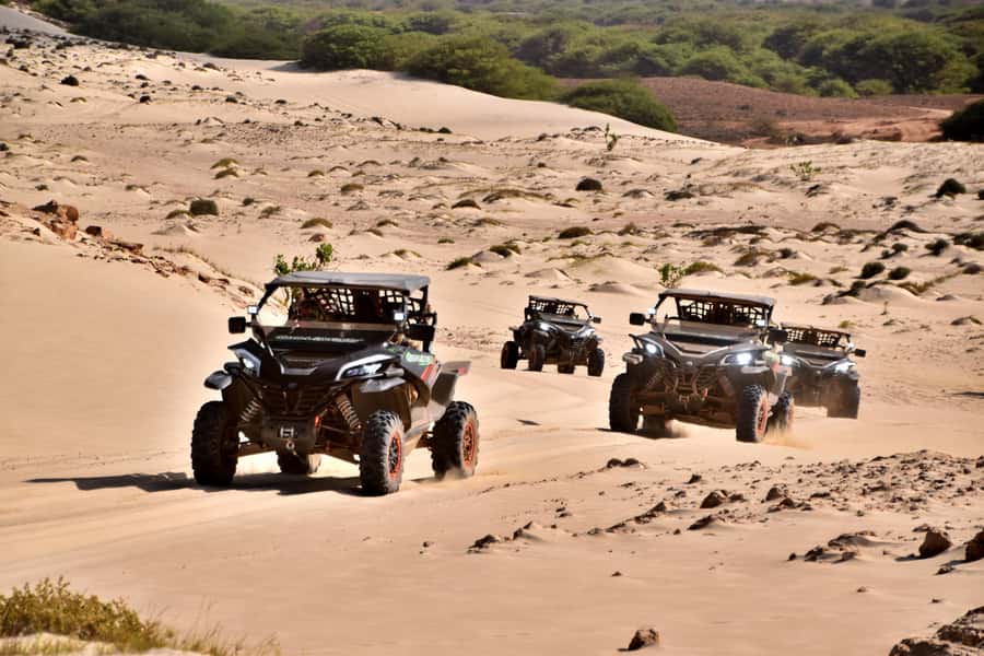 Boa Vista Buggy Tour: Santa Monica & South Desert (4-Hour) - Guides, languages, and group size