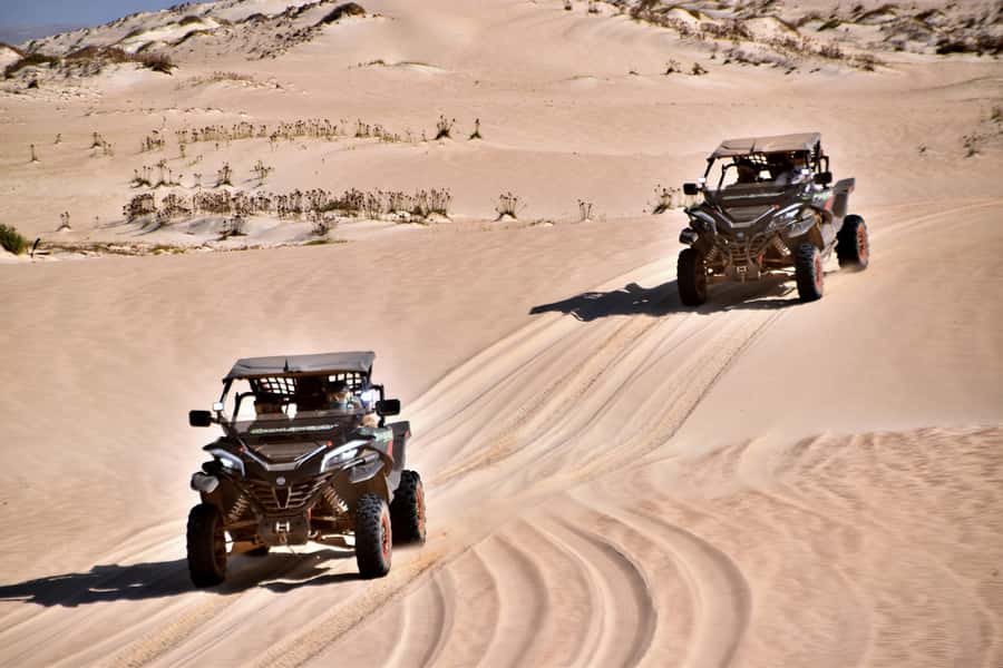 Boa Vista Buggy Tour: Santa Monica & South Desert (4-Hour) - Morro de Areia and Verandinha’s natural arch