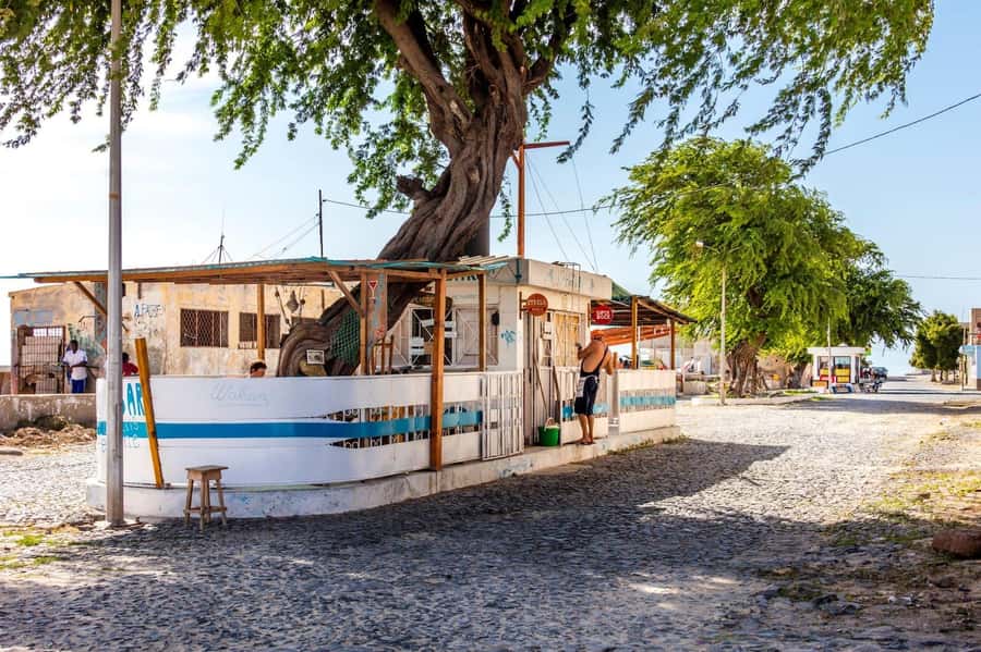 Boa Vista Full Day 4x4 Island Tour with Beachfront Lunch - How the guide affects the day
