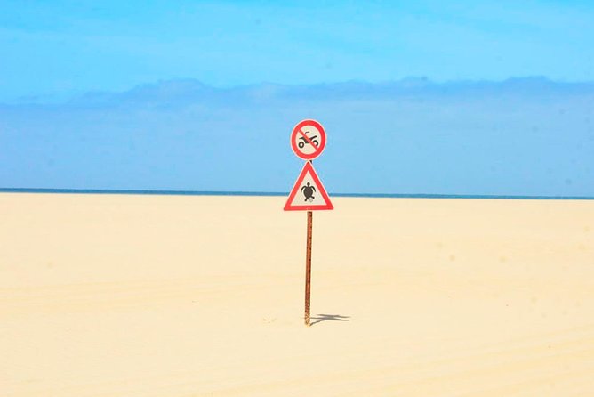 Boa Vista Island: 4-Hour Rabil, Viana Desert & Shipwreck Tour - Families, language, and the pace of the outing