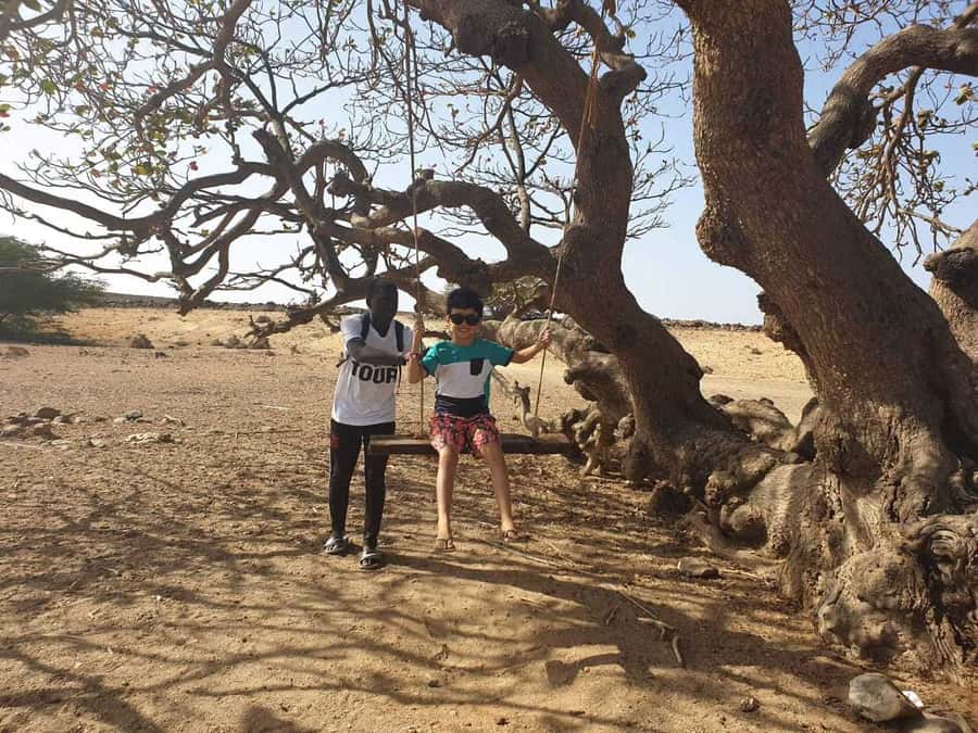 Boa Vista Island: Full-Day Wild Beaches & Viana Desert Tour - Fonte Vicente Oasis and Boa Vista’s unexpected greenery