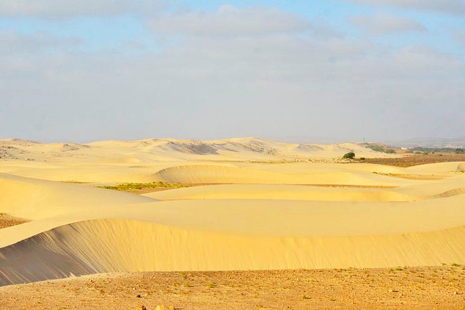 Boa Vista Island: Half-day Northern Tour + Viana Desert Adventure - Why this half-day route works