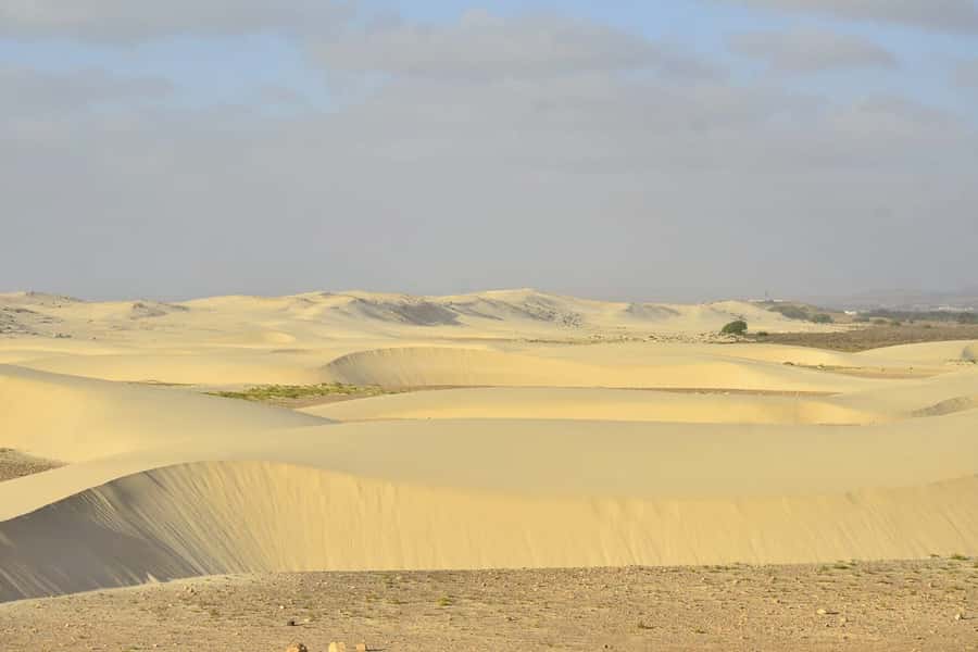 Boa Vista Island: Northwest & Deserto de Viana 4x4 Adventure - Rabil brings the island closer