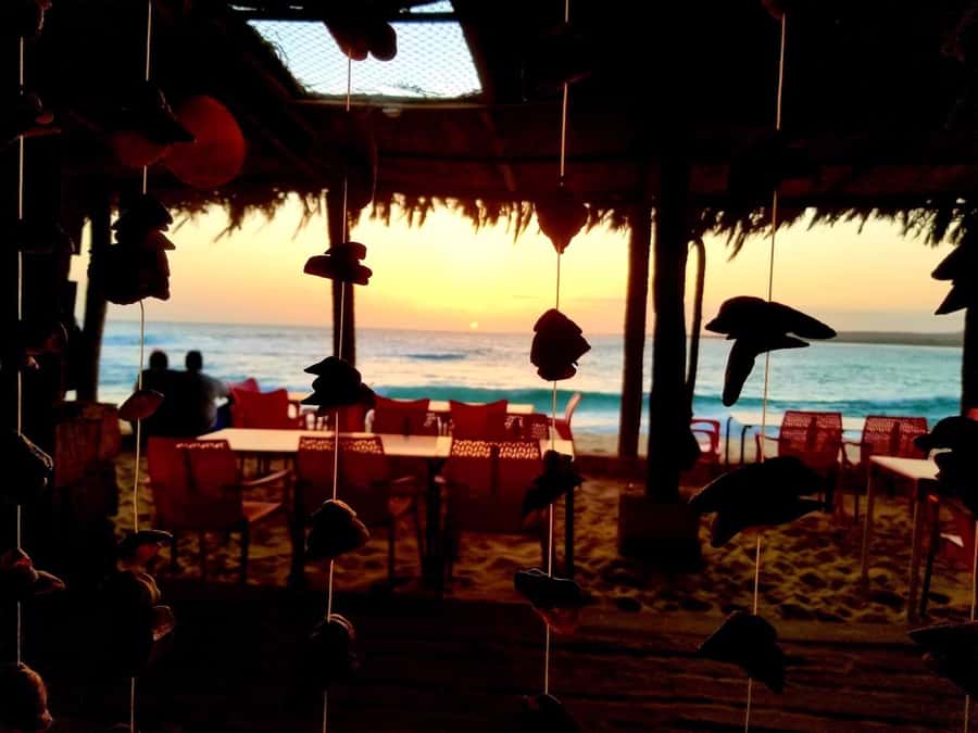 Boa Vista: Lobster Lunch at Santa Monica Beach - Why this lunch works better than a quick beach stop