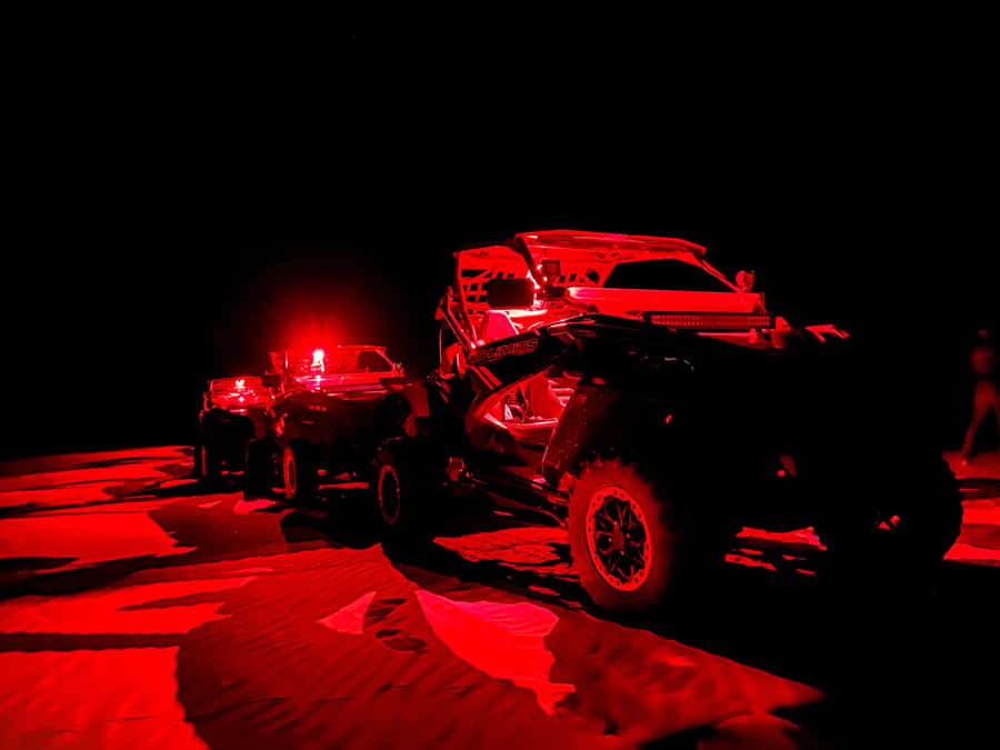 Boa Vista: Night Buggy Tour under the Stars (2-Hour) - Key points at a glance
