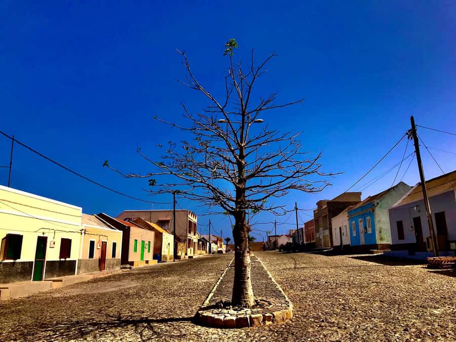 Boa Vista: Santa Monica, Dunes, Caves and Village 4x4 Tour - Guides, languages, and the human side of the trip