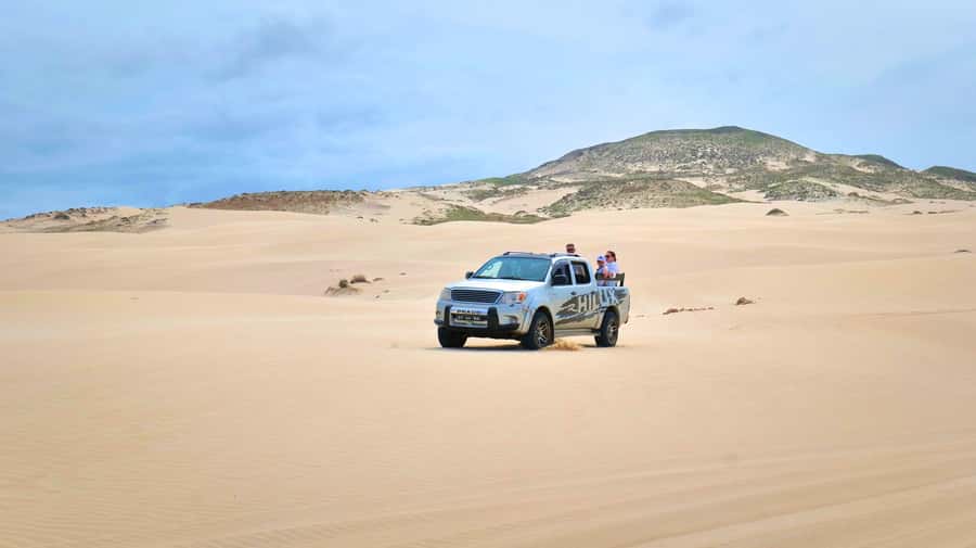 Boa Vista: Shark, Turtles, Cave, Sandboarding & Tasting Tour - Key points to know before booking