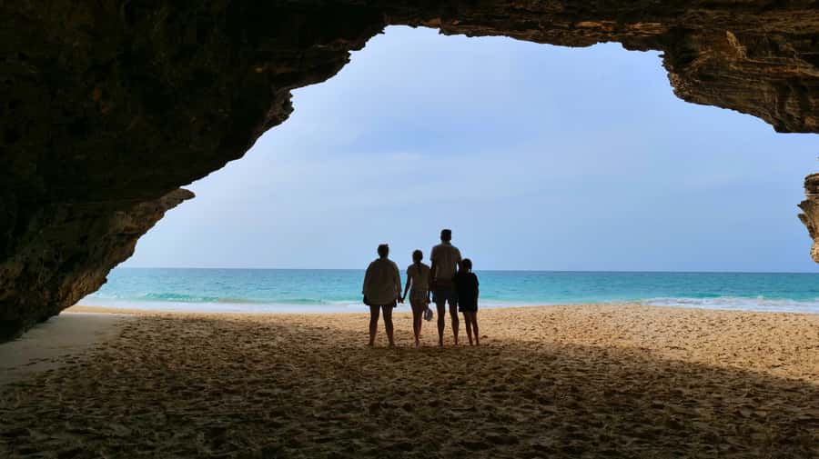 Boa Vista: Shark, Turtles, Cave, Sandboarding & Tasting Tour - Guides, drivers, and the feel of the ride