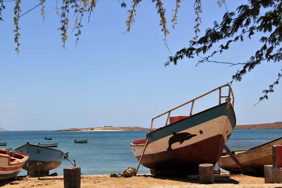 Boa Vista: Shipwreck, 4x4 Ride & Caves Day Tour with Lunch - White sand and 4x4 tracks at Chaves Bay