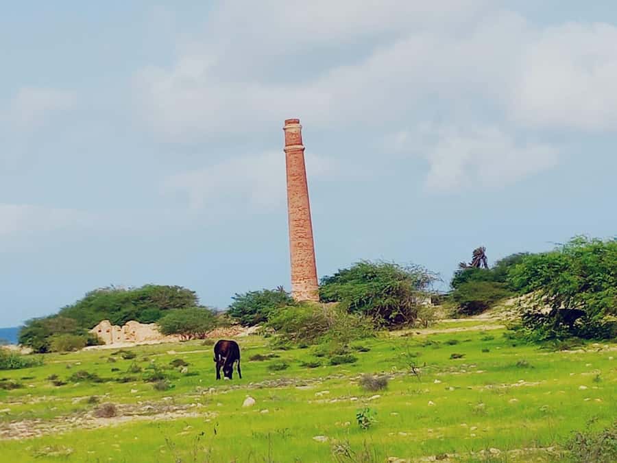 Boa Vista: Shipwreck, 4x4 Ride & Caves Day Tour with Lunch - Who should book this Boa Vista tour