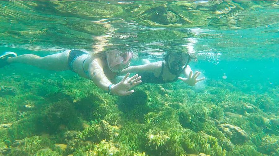 Boa Vista: Snorkeling at Gatas Bay & North East Tour - From your hotel to Praia das Gatas