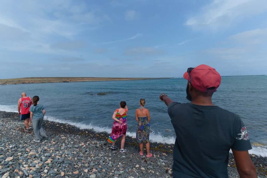 Boa Vista: Snorkeling at Gatas Bay & North East Tour - What the $100 price really covers