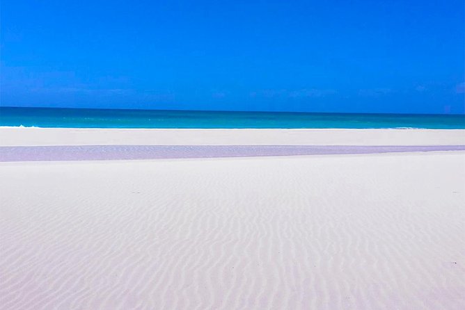 Boa Vista Tour: Santa Mónica, Desert & Shipwreck - Why this Boa Vista tour works so well