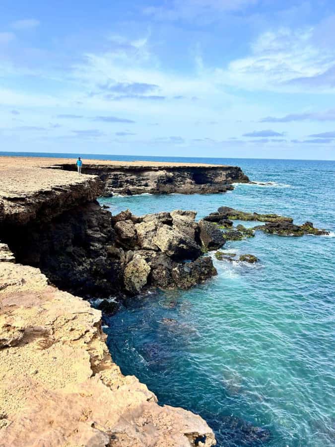 Boa Vista: Turtles, Sharks, City of Sal Rei, Santa Monica Beach, Shipwreck ... - What the $84 price really covers
