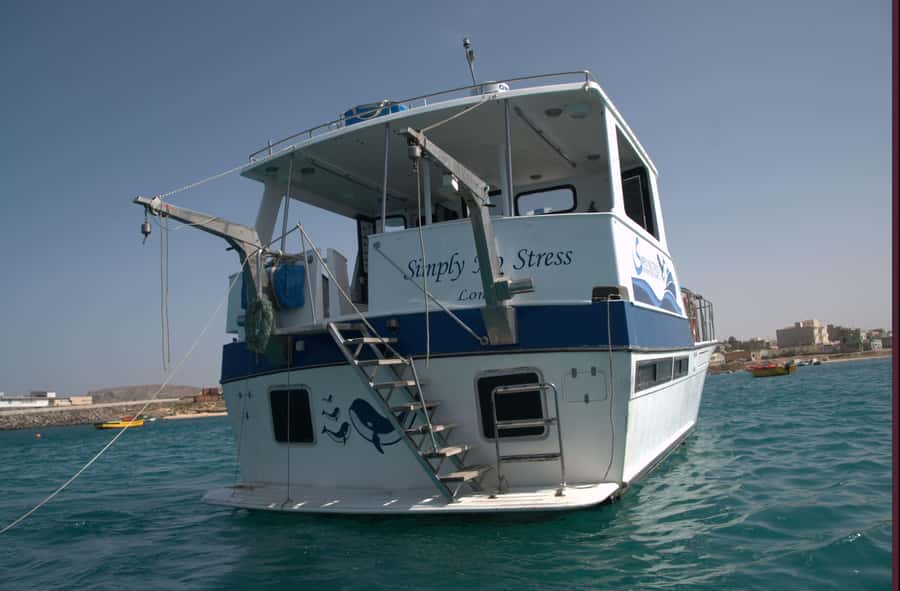 Boa Vista: Whale Watching Trip with Motoryacht - Who will enjoy this trip most?