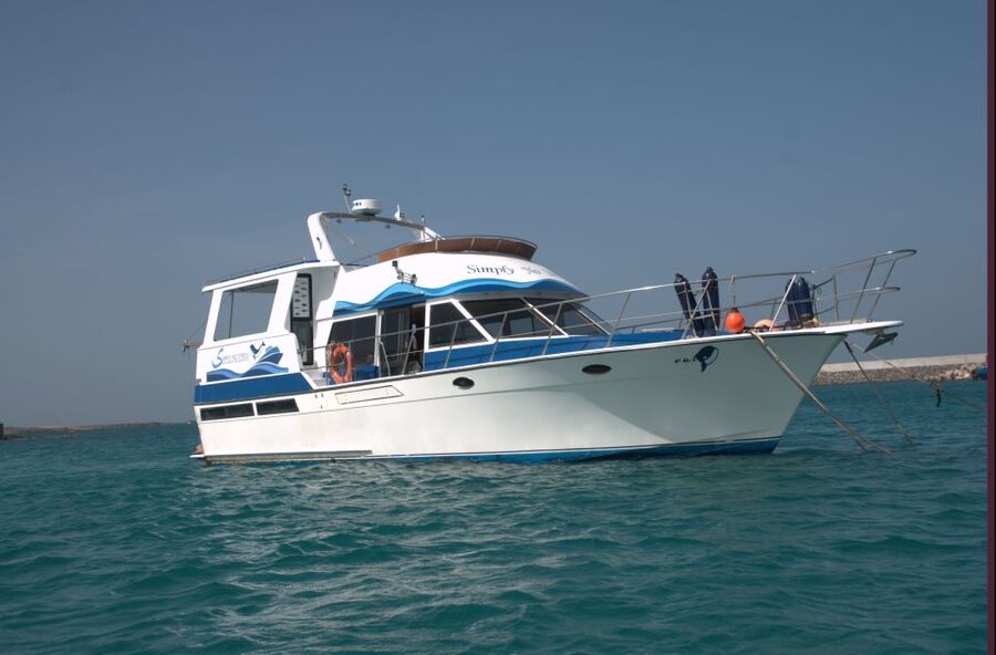 Boa Vista: Whale Watching Trip with Motoryacht - What to bring for a boat exposed to the weather