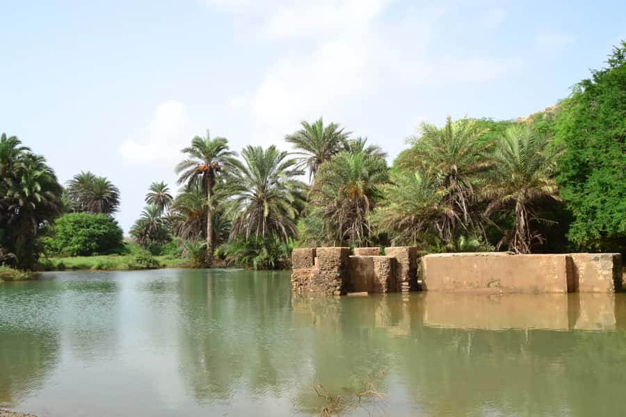 Boavista: Rabil, Shipwreck, City, Snacks & Drinks - 4x4 Tour - Cape Verdean snacks and drinks at Sodade