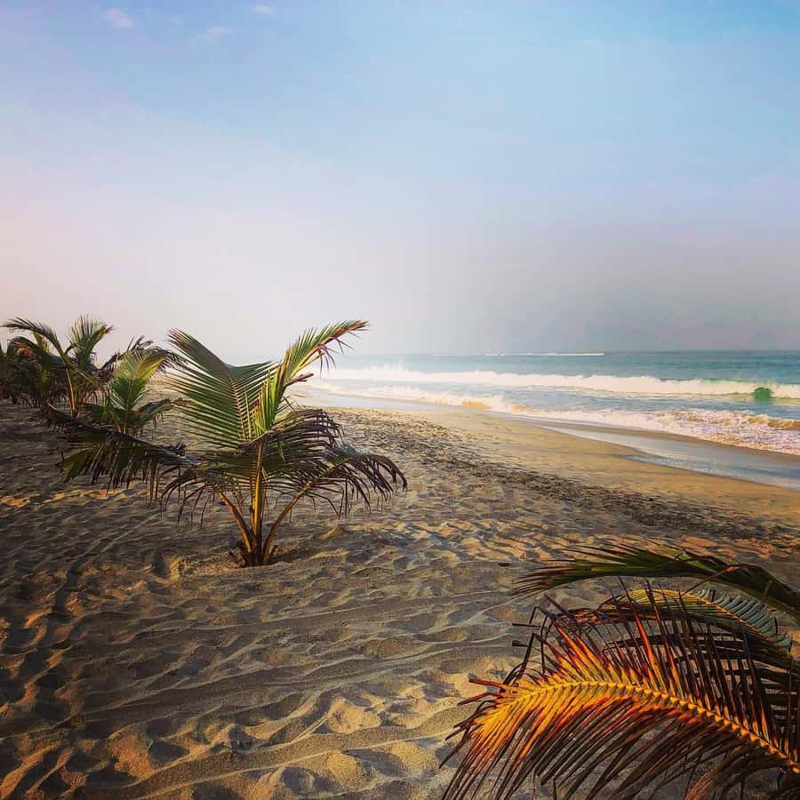 Boavista: Santa Monica beach, Varandinha cave, Sand dunes - How the $64 price compares with the experience