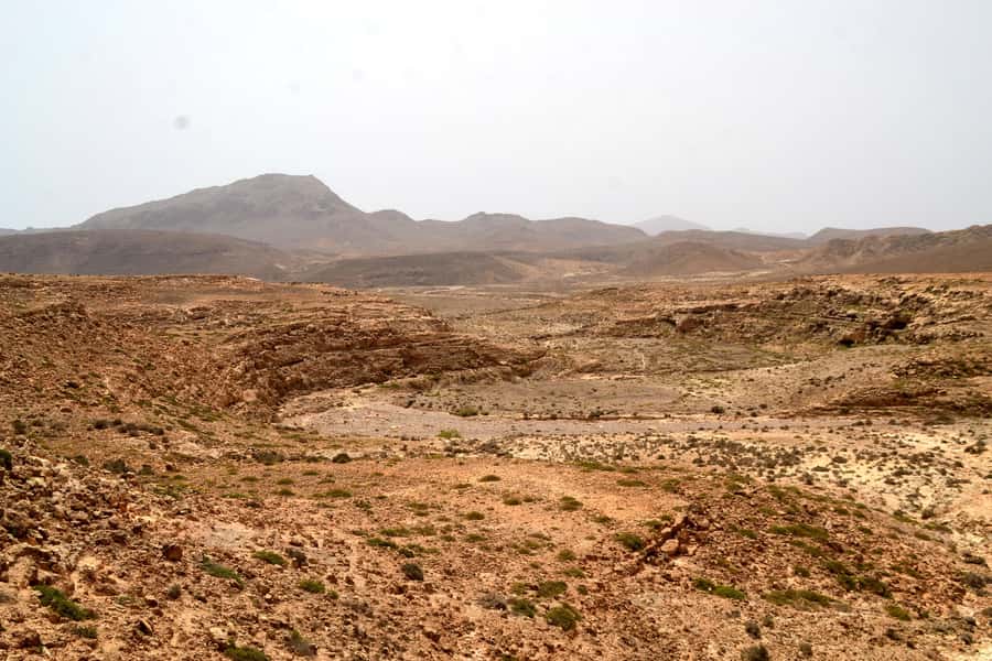Boavista: Traditional & Local Experience Tour - What the $82 price delivers