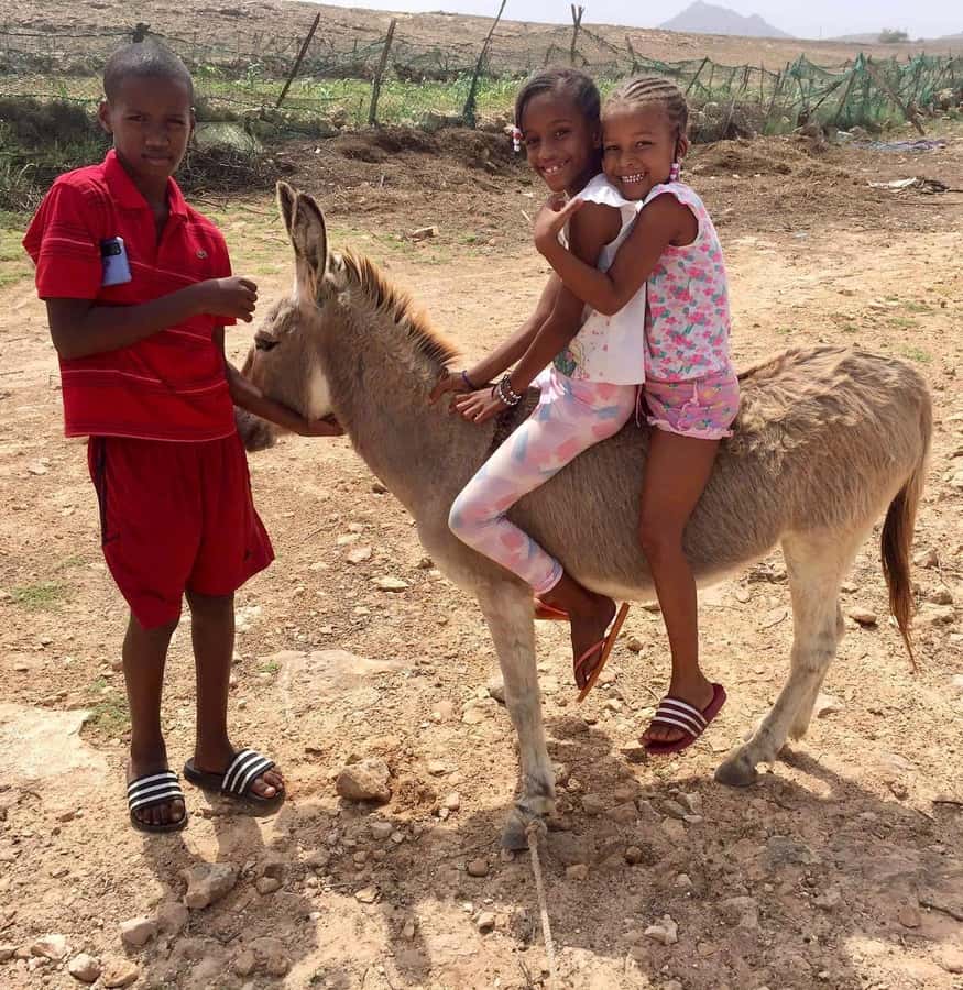 Boavista: Traditional & Local Experience Tour - What this four-hour Boa Vista tour is really about
