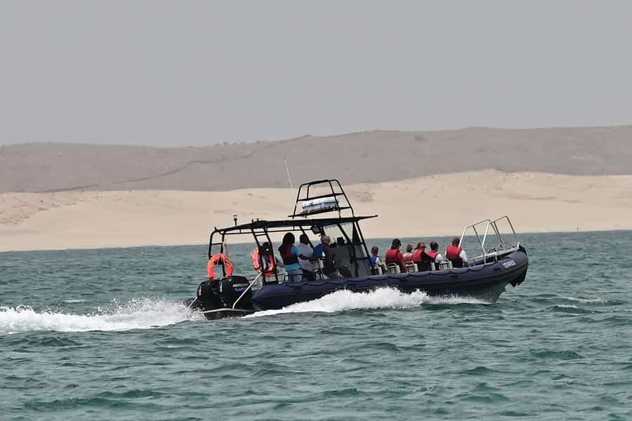 Boavista: Whale Watching half day trip - Should you book it?