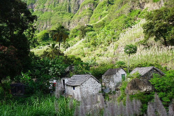 Cape Verde - Santiago, Fogo, São Vicente & Santo Antão Islands 11 Days - Markets, mountain plants, and Tarrafal Beach