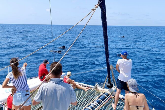Catamaran Half Day - Beautiful day on the Atlantic Ocean - Leaving Santa Maria for the southwest coast