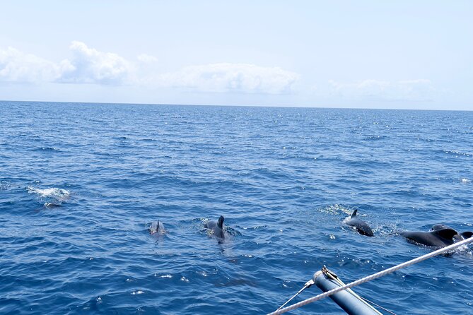 Catamaran Half Day - Beautiful day on the Atlantic Ocean - Swimming and snorkeling near Sal