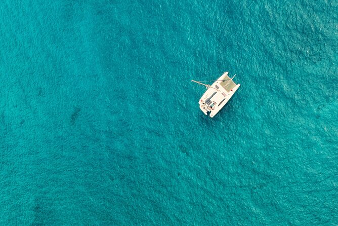 Catamaran Half Day - Beautiful day on the Atlantic Ocean - Wildlife sightings are a welcome bonus