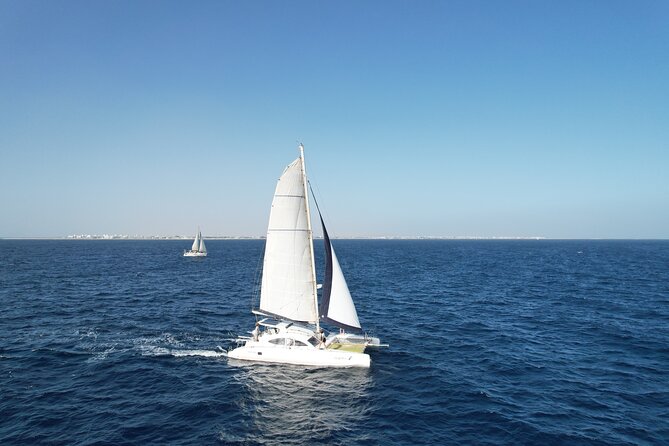 Catamaran Half Day - Beautiful day on the Atlantic Ocean - Who will enjoy this most