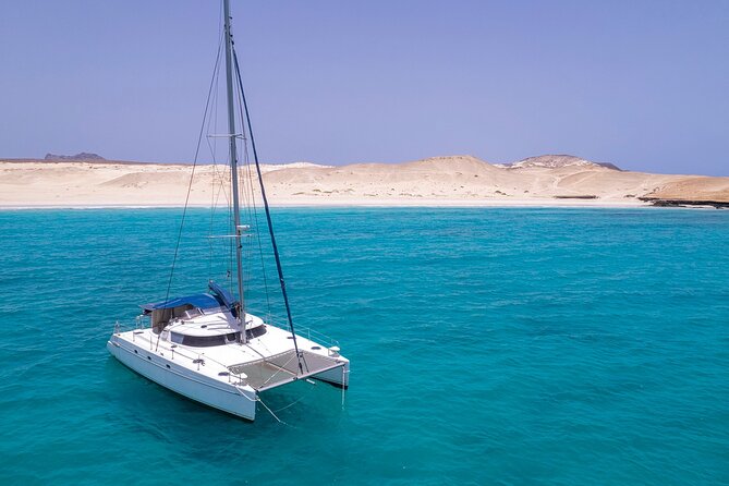 Catamaran Sailing Tour or Whale Watching at Boa Vista - Comfort, weather, and practical planning